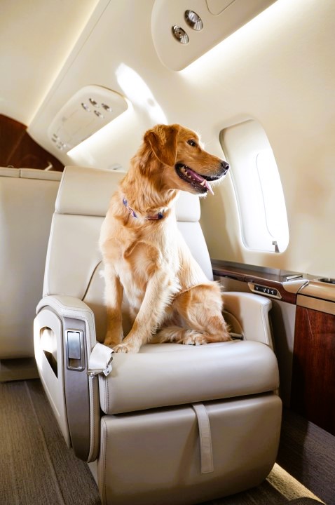 Image showcasing SHY Aviation | Private Jet Broker